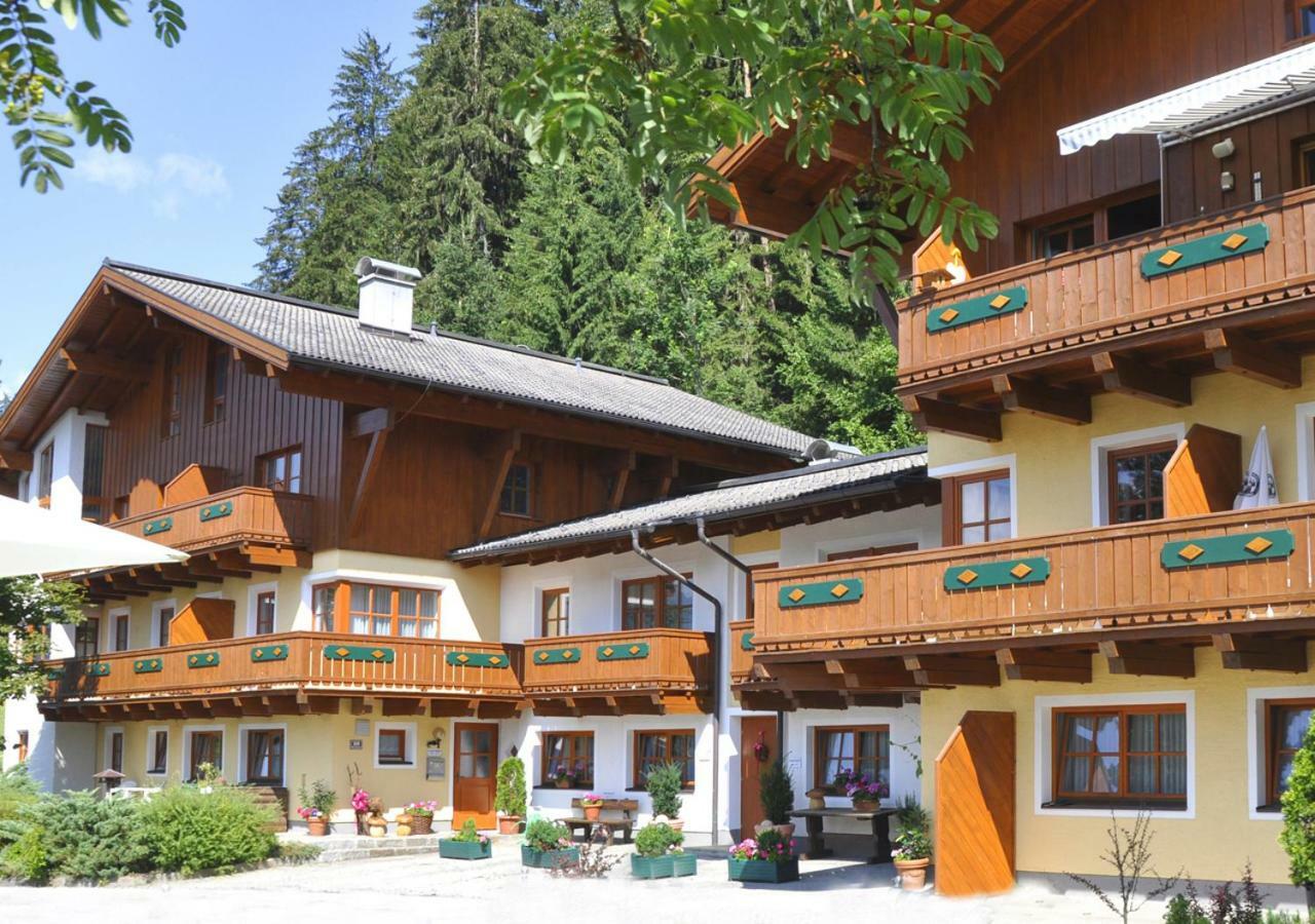 Chalet Zauberfloete Radstadt Zewnętrze zdjęcie